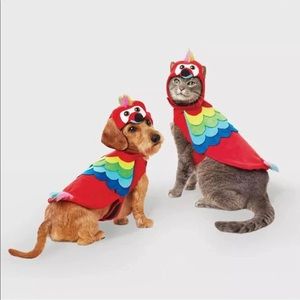 Vibrant Parrot Dog Costume